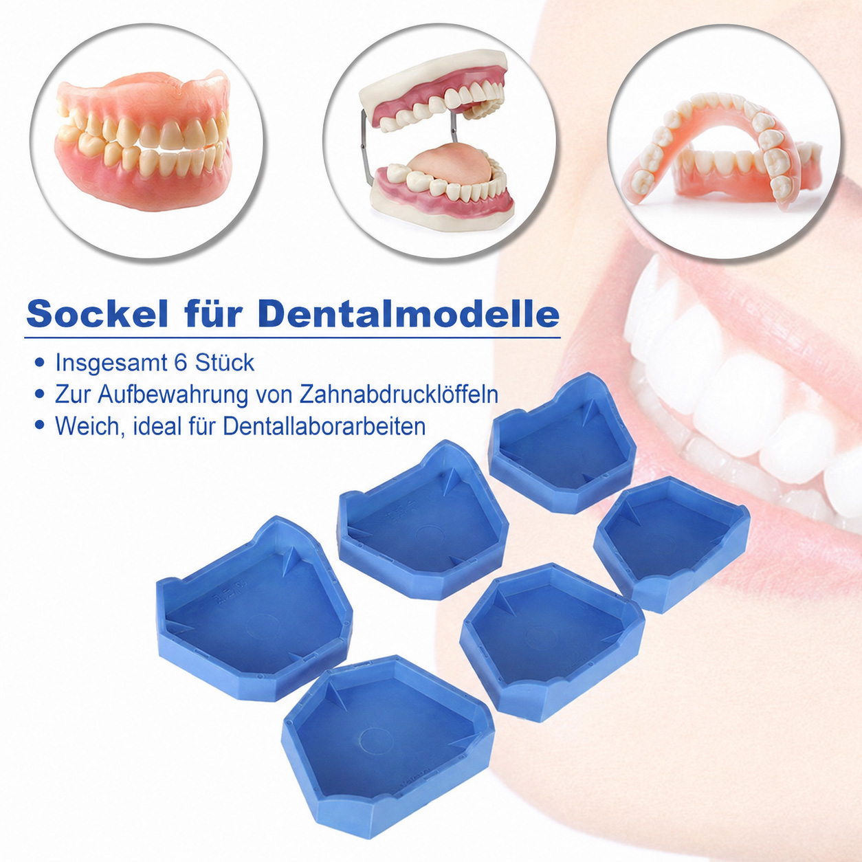Dental Lab Modelle mit Kerben zwei Gr&ouml;&szlig;en S + M + L Blau 6 St&uuml;ck